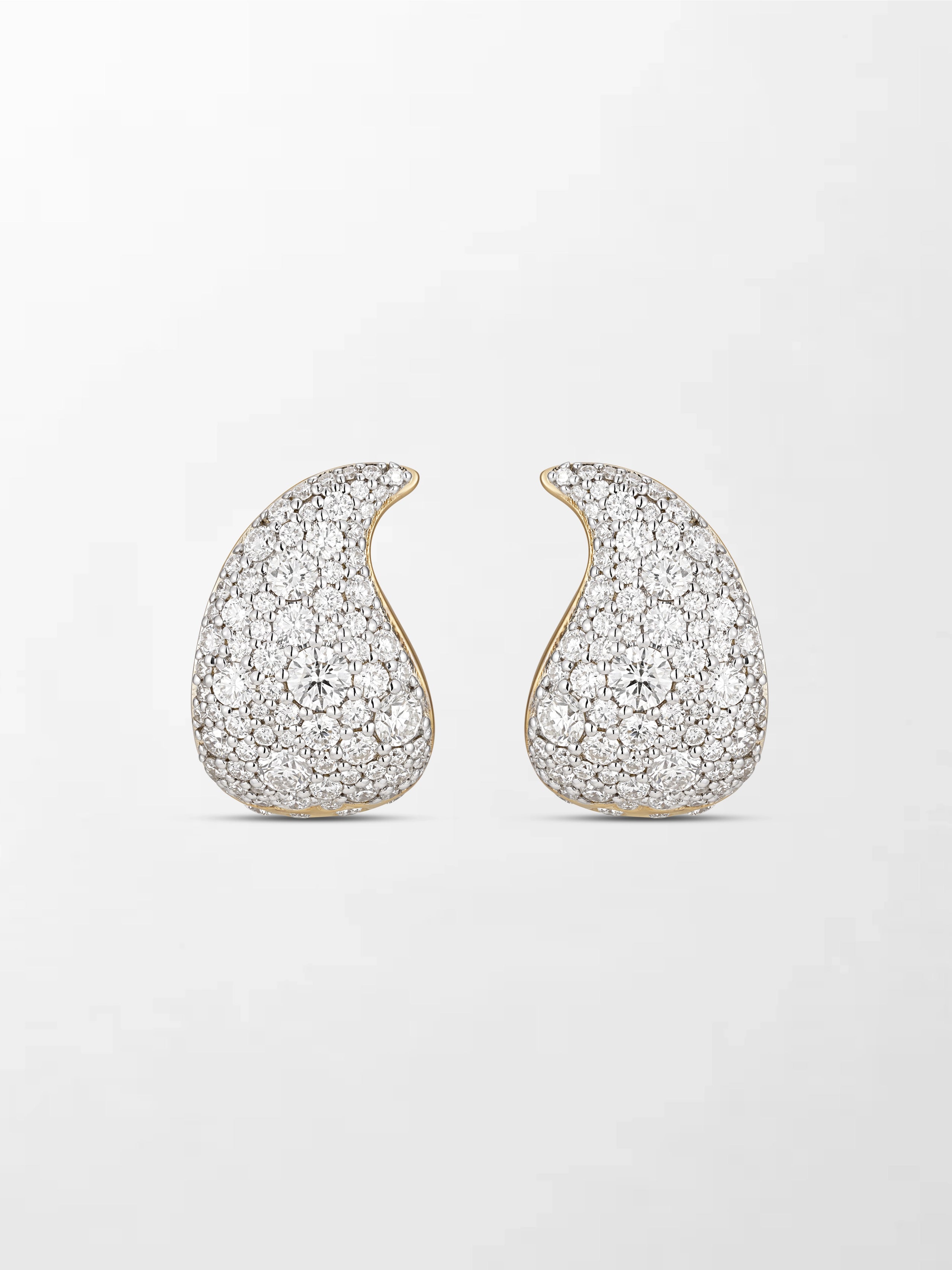 Split Flick Earrings