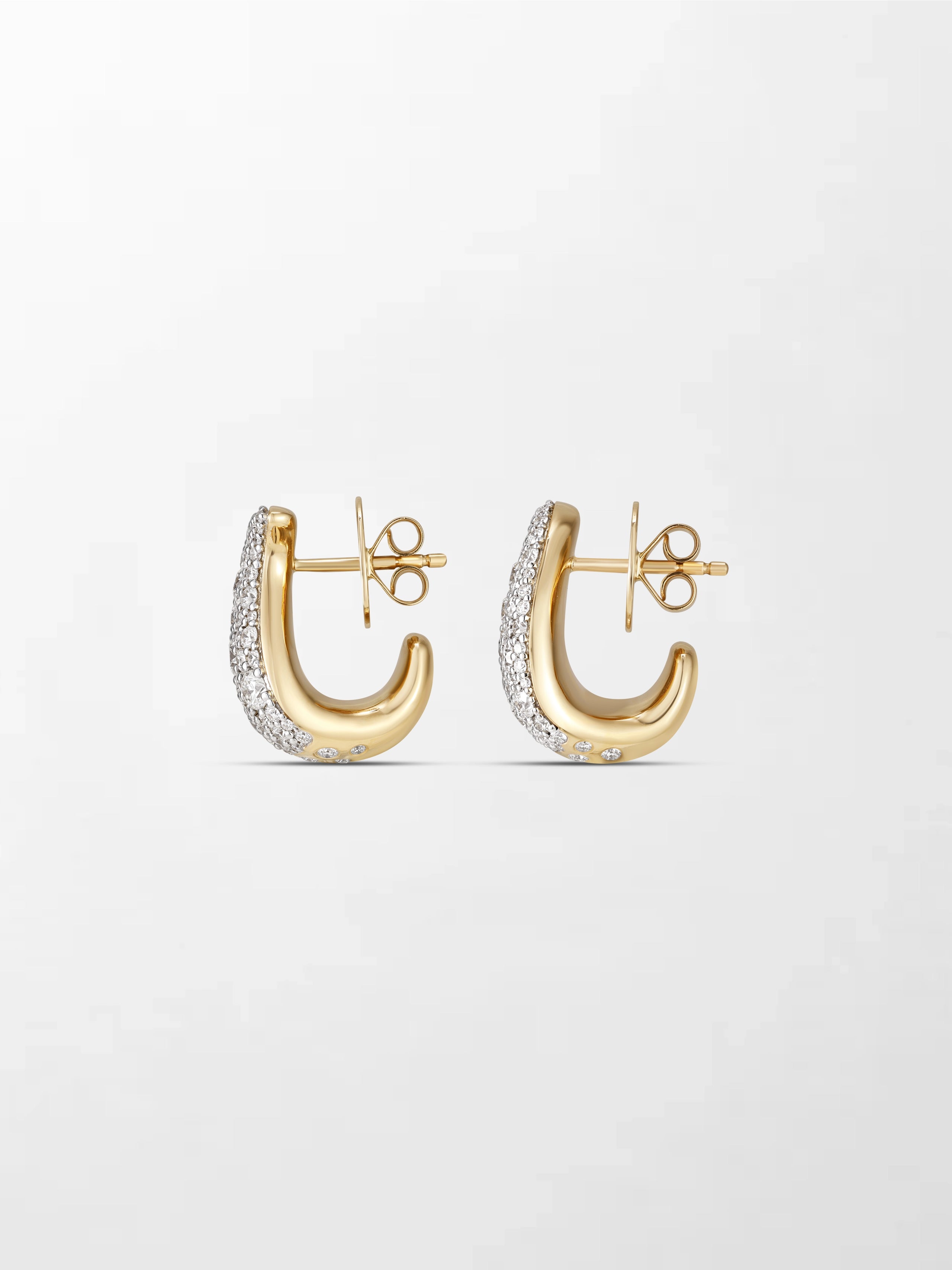 Split Flick Earrings