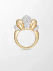 Pumpkin Ring