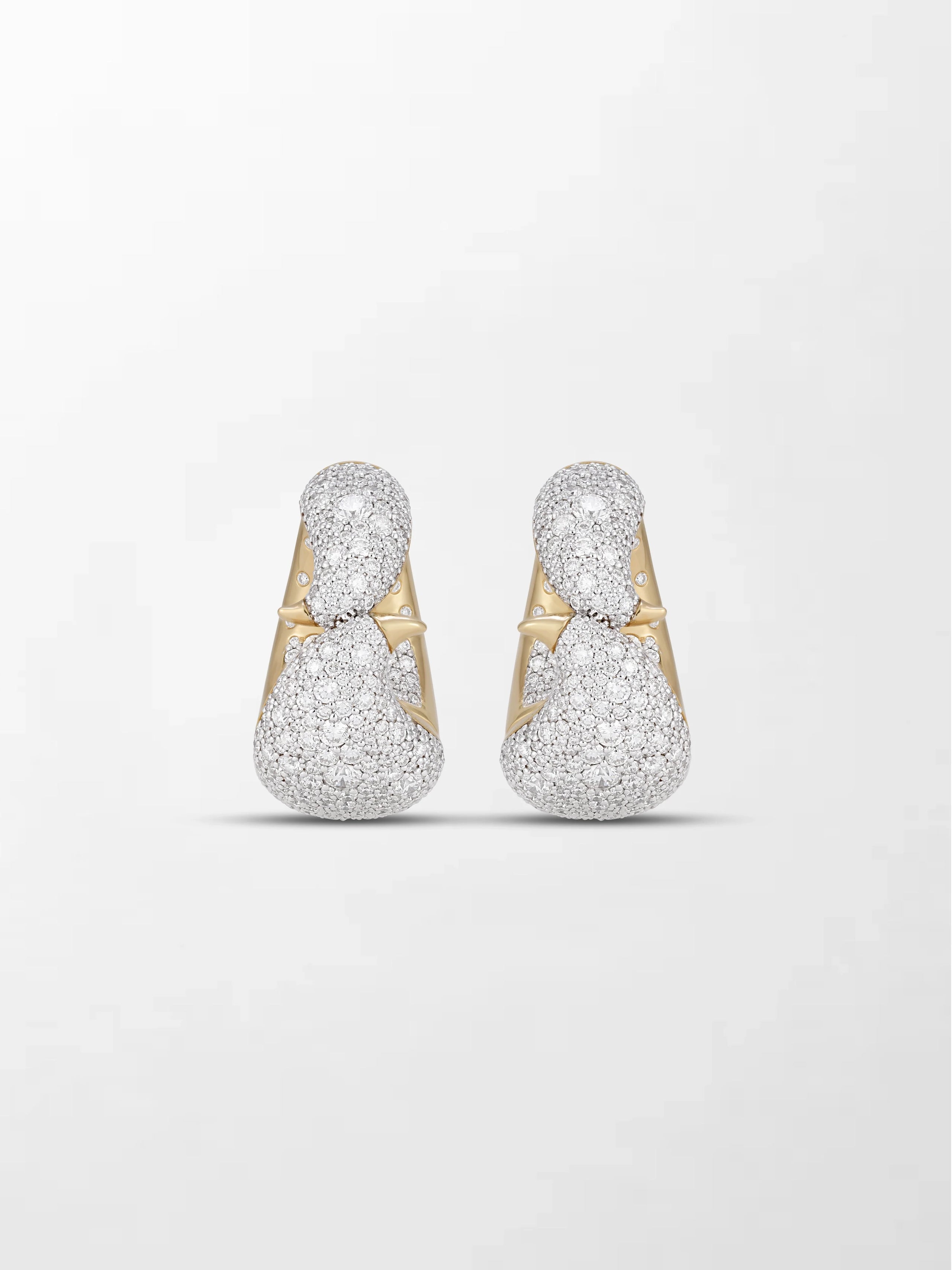 Bold Flick Earring
