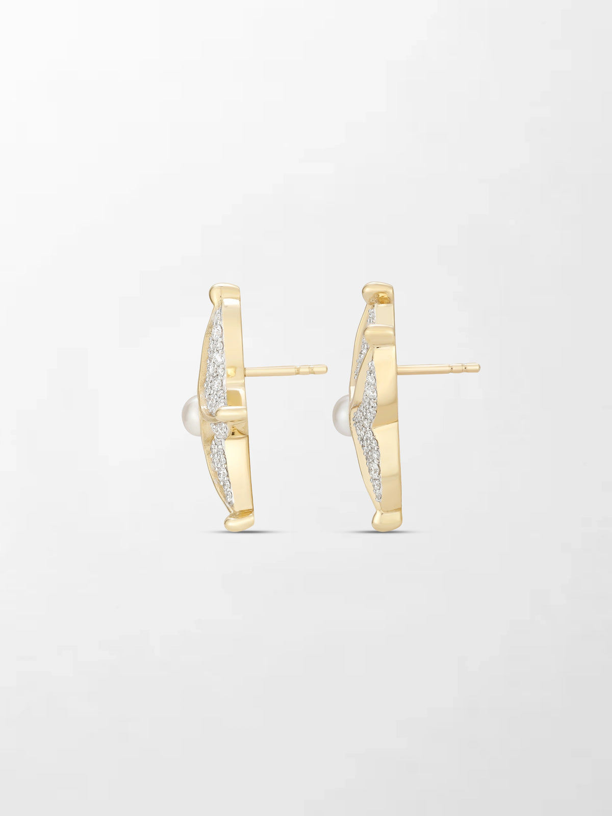 Sea Star Earrings